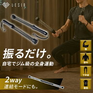 【20時~6時間限定！全品対象10%OFFクーポン】 コードレス バトルロープ 2本セット 接続可能 フィットネス…
