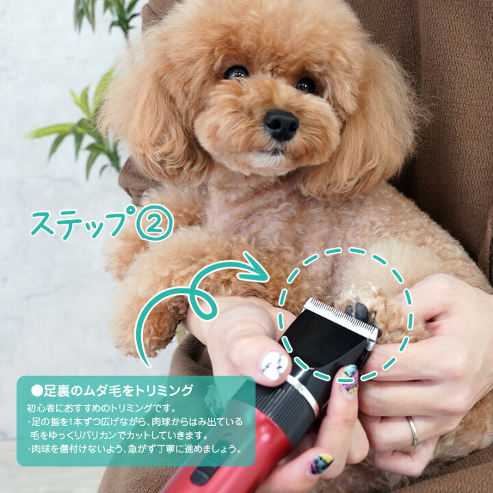 楽天市場 即納 ペット用バリカン 充電式 コードレス ペット用 トリマー 替刃つき バリカン グルーミングセット 犬用 猫用 バリカン 部分カット おうちセルフカット 長さ調整 アタッチメント付き 静音 足裏 肉球 自宅トリミング 通販ライズ