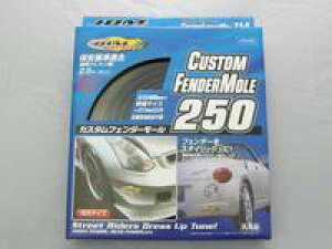 JDM JX^tF_[[250 ėp^Cv 2.5m cubN ^C͂ݏotF_[A[`̎ԕg܂I