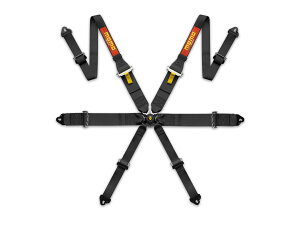 MOMO PRO DRIVER 6P BLACK v hCo[6P ubN [VOn[lX 6_V[gxg FIA8853-2016FKi FHR(HANS)Ή