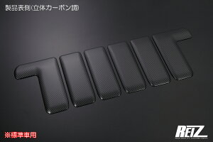 S500P/S510PO nC[bggbN (WLr) obNLrg ̃J[{ XeX SN5381 REIZ Revier