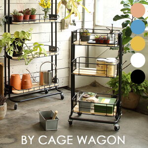 Lb`S 3i LX^[t 44.5 oXPbgg[[ S  sN u[    oXPbgS Lb`[ 킢 X`[ ؖ q h[[ 