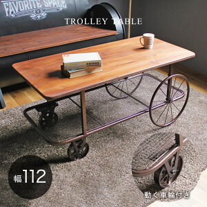 yԌP10{ze[u Z^[e[u  ؐ ԗ k  112  50 cm ubN AeB[N ؐ ACA r ԗ AeB[N g Be[W X`[r Jt