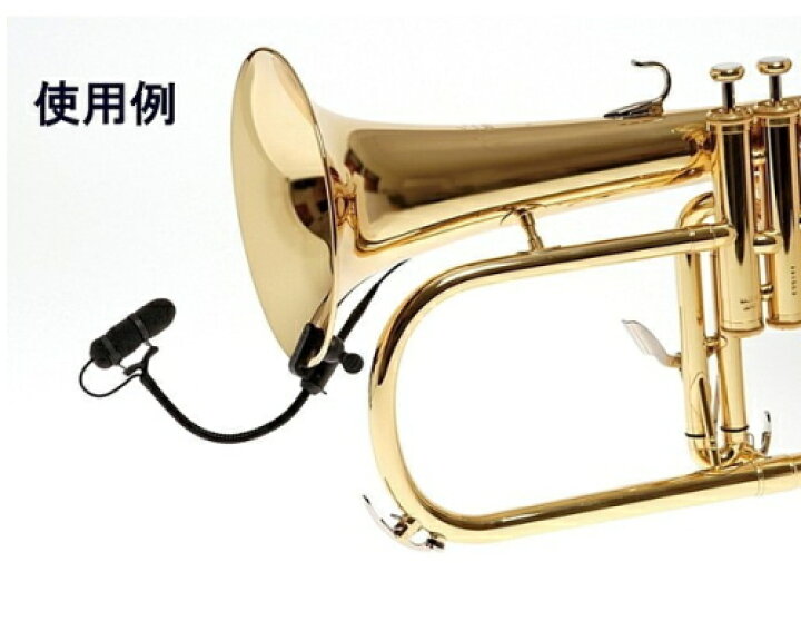 楽天市場】DPA VO4099T人気の旧品番・残りわずか！DPA d:vote楽器用 