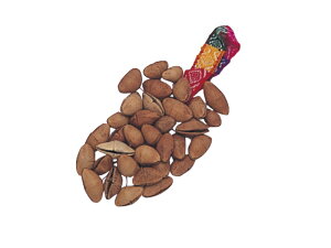 e[W@Z~[@TG-L01@AfX̊y