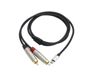 TECHiebNjUTC-210-3FT@USB-C to RCAPIN IX@DACP[u