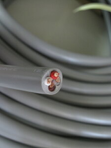 Ji@Xs[J[P[u 100m@4S12F