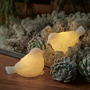 ySIRIUSz Forest Figurines LEDCeACg S5 2Zbg@f}[N LEDLh kƖ Aj}  ԐڏƖ Q v NX}X IuWF G u  e[u 