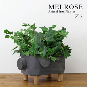 yMELROSEzAnimal Iron Planter / 78315 @ S2 v^[{bNX |bg u IuWF CeA C_XgA ACA sbO JE