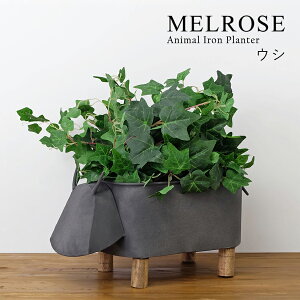 yMELROSEzAnimal Iron Planter / 78315 @ S2 v^[{bNX |bg u IuWF CeA C_XgA ACA sbO JE