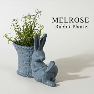 yMELROSEzRabbit Planter / 82192@ETM v^[ |bg u IuWF CeA x u