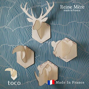 yReine MerezTROPHEES ANIMAUX EN BOIS Aj}EH[IuWF S4@tX  Aj}