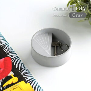 Cement Accessory TrayiANZT[gCj / Step@fXNg[ fBXvC g[ gC [ ֎[ L[gC  CeA WG[ sAX lbNX G  [
