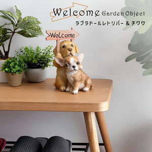 K[fIuWF / Welcome / S2 @EFJ{[h K[fI[ig lR Ck u IuWF CeA   fBXvC   Aj} rO K[f v