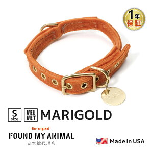 yFOUND MY ANIMALzCat & Dog CollariցjS7F@AJA 3TCY  t@Eh }C Aj} U  ybgpi ybgObY pi Lpi Lbg hbO  O  ^