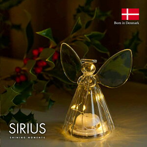 ySIRIUSz Iris Angel@LEDCeACg@f}[N kƖ LEDƖ ԐڏƖ Q v Cg fR[V NX}X IuWF Vg GWF  G u e[u 