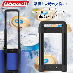 y݌ɗLzR[} zC[ N[[ nh i Lknh 50-60QT GNXg[ 5 `[ N[[{bNXp p  i p[c