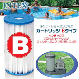 【在庫有り】【INTEX】インテックス フィルター カートリッジ Bタイプ 大型プール ポンプ専用 浄化フィルター プール 水遊び プール 浄化ポンプ 循環ポンプ アウトドア Intex Type B Filter Cartridge
