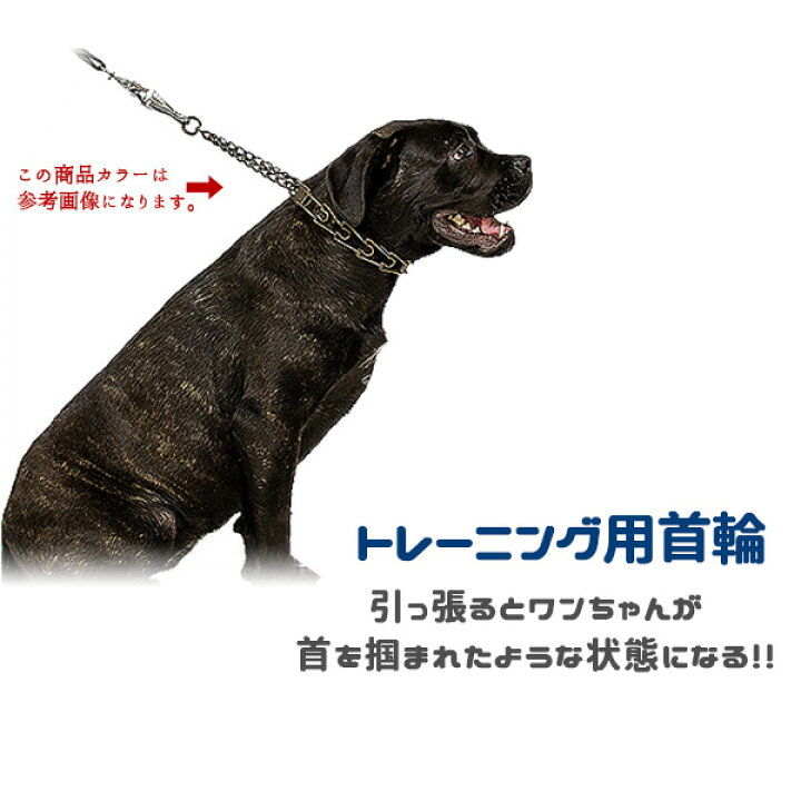 ルパイン 大型犬用 25mm幅 プラム ブロッサム ６０ｃｍ ９６ｃｍ ワンタッチ ハーネス 最大85 Offクーポン
