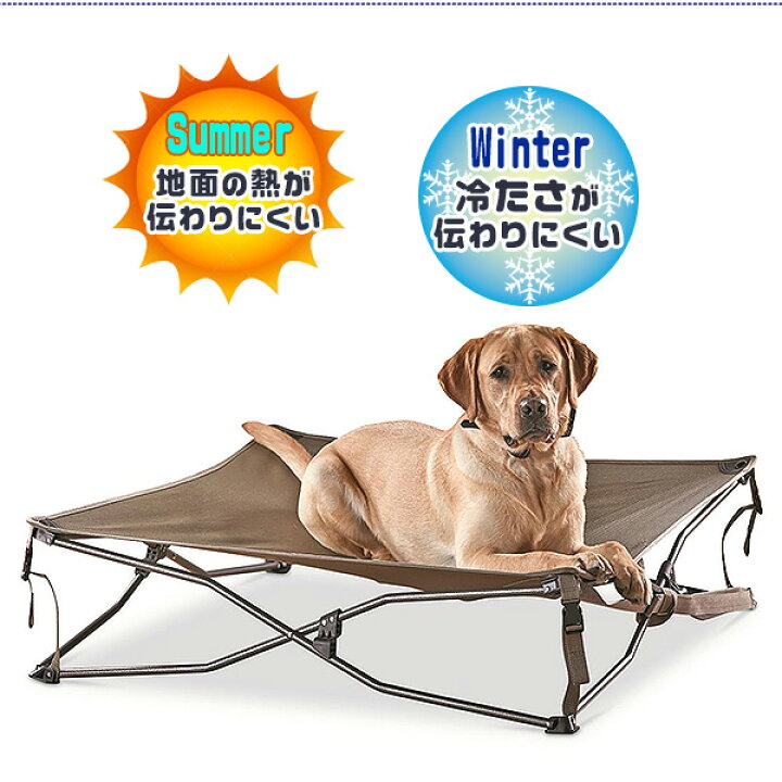 楽天市場 在庫有り 犬用ベッド ガイドギア デュラメッシュ エレベーテッド ドッグベッド 犬用 ベッド アウトドア 折り畳み 軽量 コンパクト 旅行 ベッド ドッグコット ペットコット ペットベッド 犬 ドッグ ペット 室内 ペット用品 Guide Gear Dura Mesh Elevated
