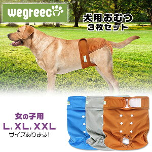 y݌ɗLzyybgpzWegreeco EHbVu hbO_Cp[ ̎qp 3Zbg LTCY XLTCY XXLTCY p }i[pc ނ  pc Tj^[pc }WbNe[v 