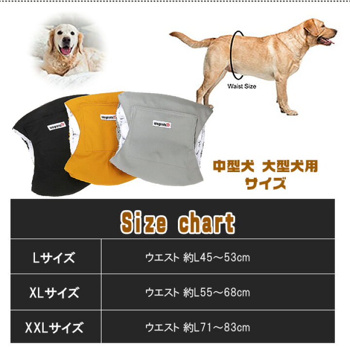 楽天市場 在庫有り ペット用 Wegreeco ウォッシャブル ドッグダイパー 男の子用 3枚セット Lサイズ Xlサイズ Xxlサイズ 犬用 マナーパンツ おむつ パンツ マジックテープ 犬服 洗える オムツ メッシュ ペット 中型犬 大型犬 r Baby 1号店