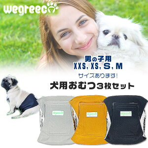 y݌ɗLzyybgpzWegreeco EHbVu hbO_Cp[ j̎qp 3Zbg XXSTCY XSTCY STCY MTCY p }i[pc ނ pc }WbNe[v  􂦂 I
