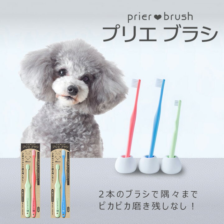 楽天市場 在庫有り ゆうパケット対応 プリエブラシ Prier Brush スターターセット S M 2本組 犬専用歯ブラシ 犬用 歯ブラシ ワンちゃん 小型犬 中型犬 犬用歯ブラシ ペット用歯ブラシ オーラルケア デンタルケア 歯みがき 歯磨き 歯周病 日本製 ペット用品 猫