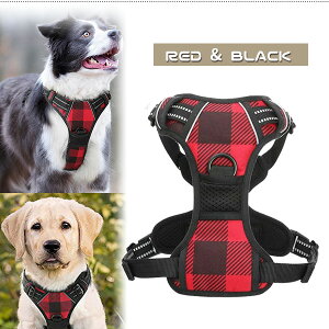 y݌ɗLzyybgpizRabbitgoo vCh hbO n[lX ^ ^  hbO ybg g[jO ybgpi U  [h  h~ No Pull  Rabbitgoo Plaid Harness Pla
