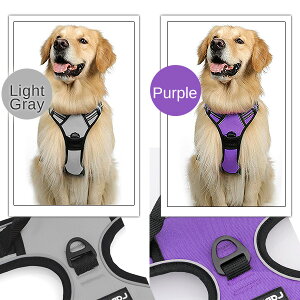 y݌ɗLzyybgpizRabbitgoo m[v hbO n[lX S12F ^ ^  hbO ybg g[jO ybgpi U  [h  h~ No Pull  Rabbitgoo No-Pull 