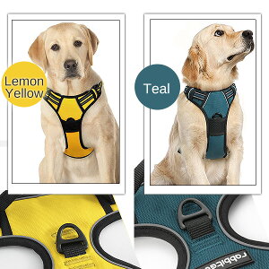 y݌ɗLzyybgpizRabbitgoo m[v hbO n[lX S12F ^ ^  hbO ybg g[jO ybgpi U  [h  h~ No Pull  Rabbitgoo No-Pull 