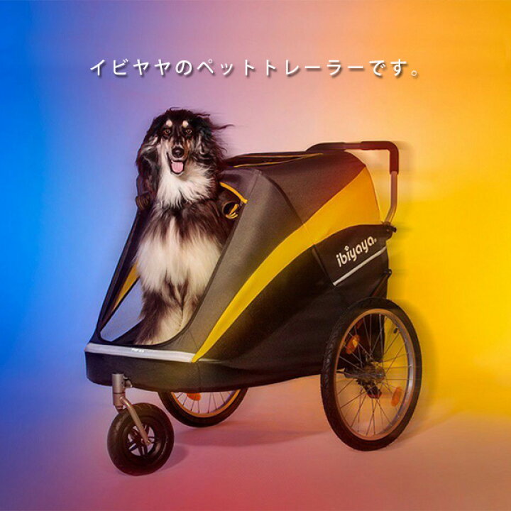 楽天市場】【楽天1位】 【正規品】イビヤヤ ヘラクレス ペット 