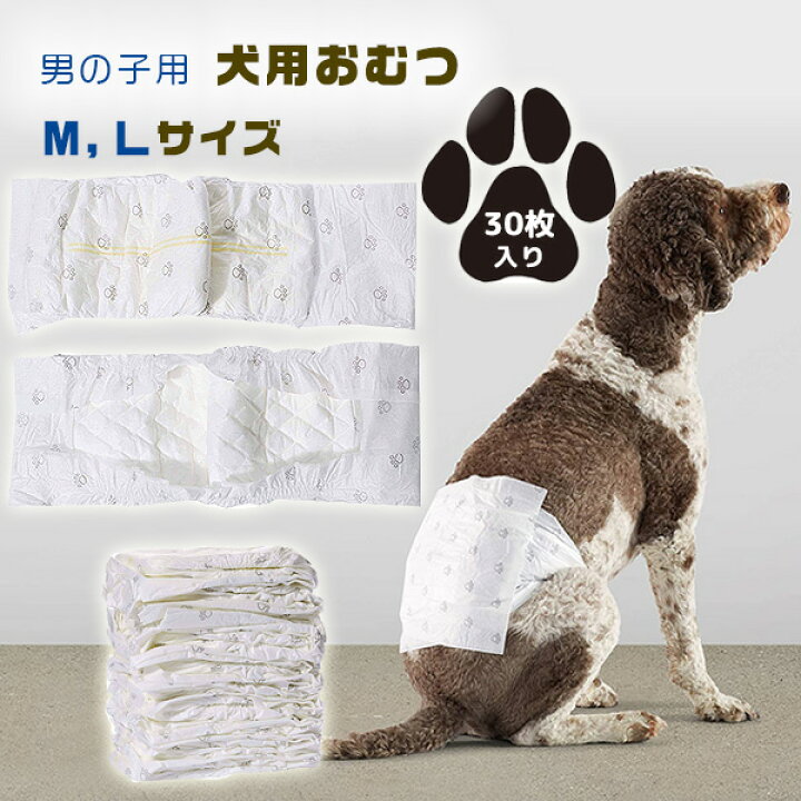 楽天市場 ドッグダイパー 男の子用 30枚入り オス用 Mサイズ Lサイズ 中型犬 大型犬 アメリカサイズ Usサイズ 犬用 おむつ パンツ マナー パンツ トイレトレーニング 介護ケア 使い捨て オムツ ペット 犬 Male Dog Wrap Disposable Diapers r Baby 1号店