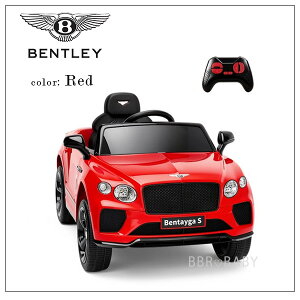 �y�����񂹁z��p�ߋ� ��p���W�R�� Alpha Joy �x���g���[ �R���`�l���^�� GT 12V ���C�h�I�� �������C�Z���X���i �����R���t�� 1�l��� �d�� �敨�ߋ� �d����p ������ �d���J�[ �q���p �o�b