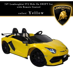 y񂹁zy^iz{M[j AF^h[ SVJ ChI htgJ[ htg KECO WRt dpߋ 2l dpJ[ 24V [d ߋ dJ