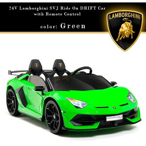 y񂹁zy^iz{M[j AF^h[ SVJ ChI htgJ[ htg KECO WRt dpߋ 2l dpJ[ 24V [d ߋ dJ