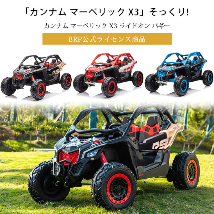 楽天市場】【楽天1位】 【お取り寄せ】【大型商品】カンナム 