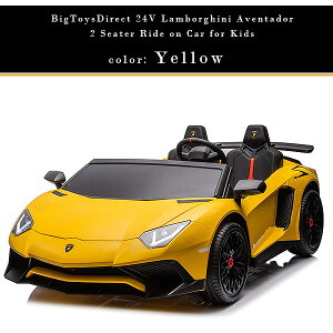 y񂹁zy^izBigToysDirect 24V {M[j AF^h[ ChI J[ CZXi KECO dpߋ 2l dp d 敨ߋ pߋ d