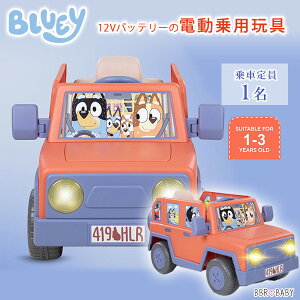 �y�݌ɗL��z�u���[�C �q�[���[ �t�@�~���[ �r�[�N�� 12V ���C�h�I�� �d����p�ߋ� 1�l��� �d�� ��p�ߋ� �d����p �d���J�[ �q���p �敨�ߋ� �d�������� �o�b�e���[�J�[ ��蕨 �[�d�� ����