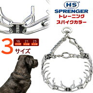 【楽天1位】 【お取り寄せ】【ゆうパケット対応】ハームスプレンガー トレーニング スパイクカラー 16イ…