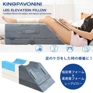 y݌ɗLzKingPavonini bO Gx[V s[   P PK  ×{  tbgs[ ߉\ si ɂ݌y Œ T|[g   Q NbV ނ  