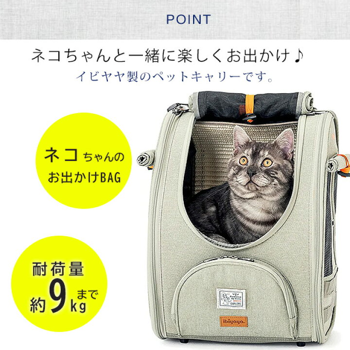 楽天市場】【楽天1位】 【正規品】イビヤヤ アドベンチャー キャット 