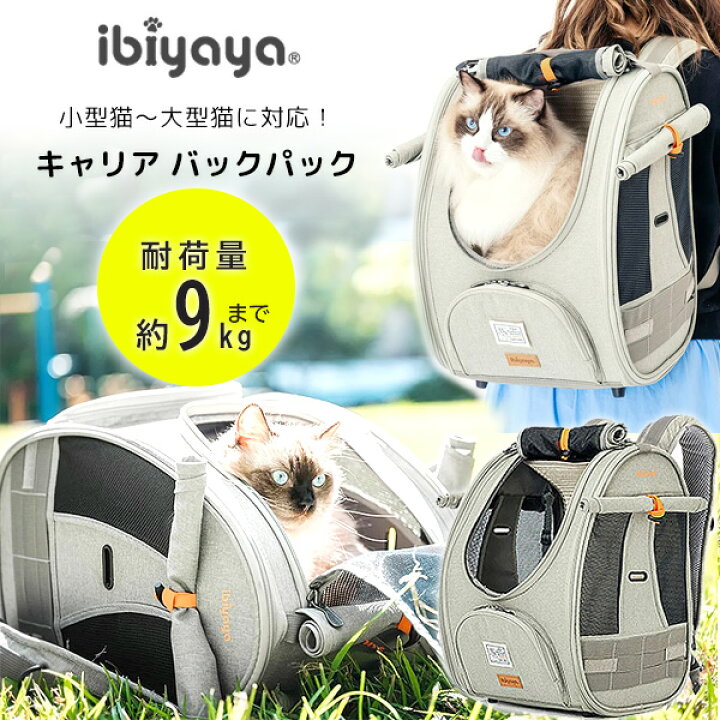 楽天市場】【楽天1位】 【正規品】イビヤヤ アドベンチャー キャット 