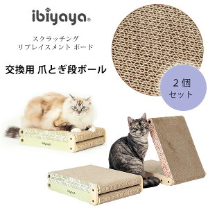 yKizCr XNb`O vCXg {[h 2Zbg p ܂Ƃ i{[ Lp ܌ ߂Ƃ XNb`[ xbh Q _{[ L lR ybg  