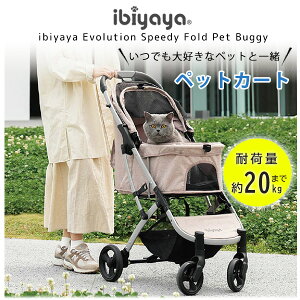 yKizCr G{[V Xs[fB[ tH[h ybg oM[ J[g  ^ ^  L 4 ܂肽 U  ł  [ RpNg ibiyaya Evolution S