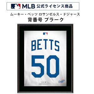 y݌ɗLzyj[hV[Y2Aez[L[Exbc T[XEhW[X wԍ 50 v[N MLB CZXi z 27×33cm RN^u W[[O RNV 