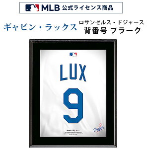 y񂹁zMrEbNX T[XEhW[X wԍ 9 v[N MLB CZXi z 27×33cm RN^u W[[O RNV CeA l W