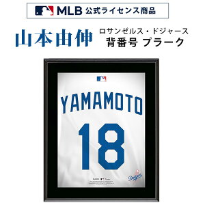 y񂹁zyj[hV[Y2AezR{RL T[XEhW[X wԍ 18 v[N MLB CZXi z 27×33cm RN^u W[[O RNV Ce