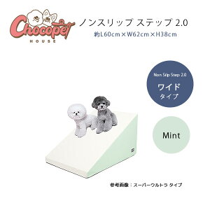 yNX}XZ[zChocopethouse mXbv Xebv 2.0 Ch Ȃ ybg X[v px24.5° ₩ X ^ ^ VjA 􂦂 h R ~  ybgpi  