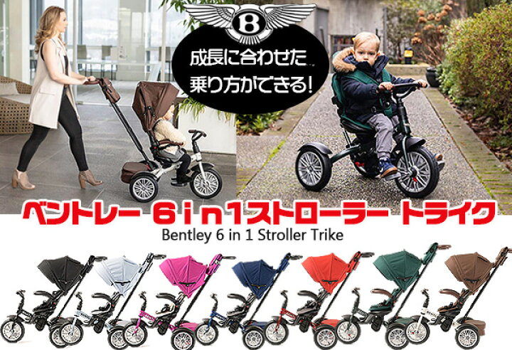 楽天市場】【楽天1位】 【お取り寄せ】【Bentley】ベントレー 6 in 1 